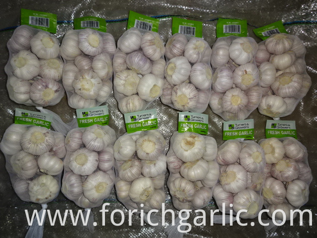 Normal White Garlic Of Fresh 2019